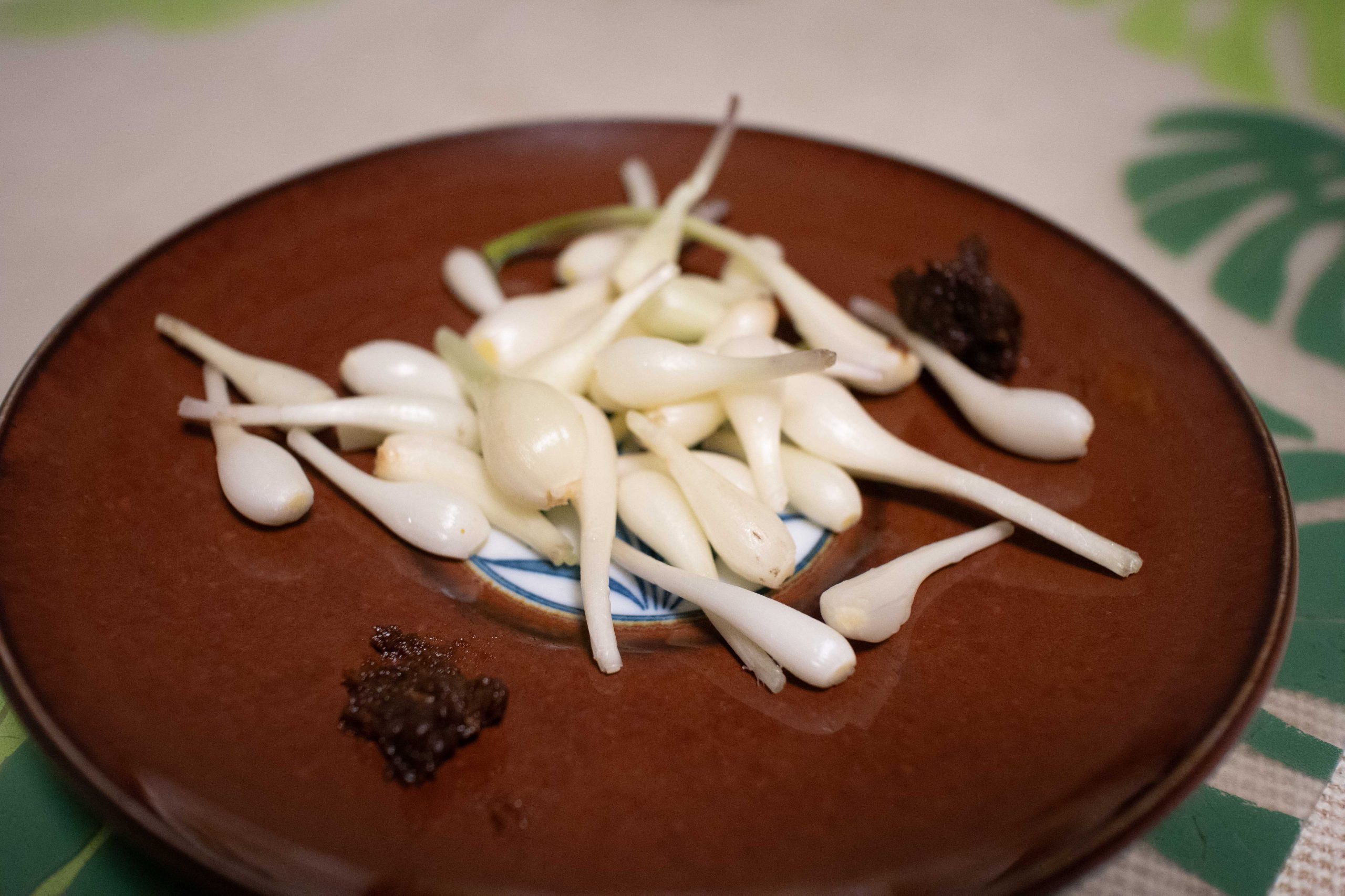 エシャレット　230617 (1 - 1)